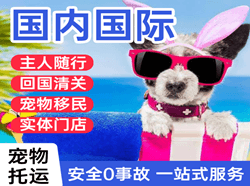 包头东河航空运输国际宠物托运 【国